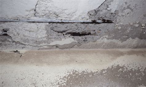The Homeowner's Guide to Slab Leaks .